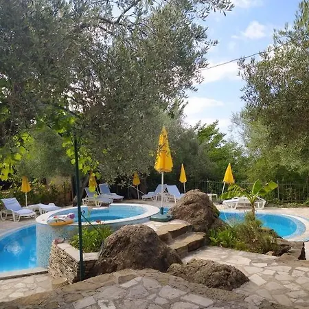 Olive Trees Appartement Budva